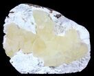 Calcite Crystals on Scolecite - India #39189-1